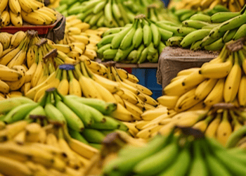 Philippines Seeks Reduction in Japan's Tariffs on Banana Exports