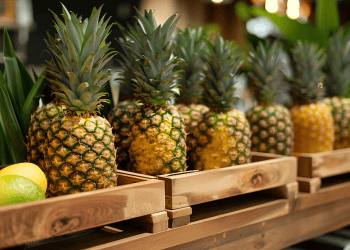 Challenges in Exporting Fresh Produce to the Caribbean