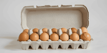 Appeals to Poland and Lithuania for Egg Imports Amid Ongoing Domestic Shortage