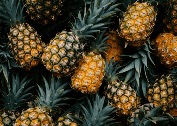 Philippine Pineapple Exports Reach New High in 2024, Boosted by Strong Demand from China