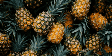 Philippine Pineapple Exports Reach New High in 2024, Boosted by Strong Demand from China