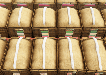 India-Approves-Sugar-and-Other-Commodity-Exports-to-Maldives-Under-Bilateral-Trade-Agreement