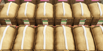 India-Approves-Sugar-and-Other-Commodity-Exports-to-Maldives-Under-Bilateral-Trade-Agreement