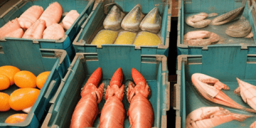 Japanese-Lawmakers-Urge-End-to-China's-Seafood-Import-Ban