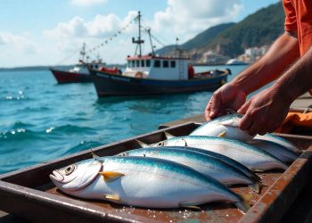 Carrefour-Signs-Tuna-Transparency-Pledge-to-Strengthen-Seafood-Supply-Chain-Oversight
