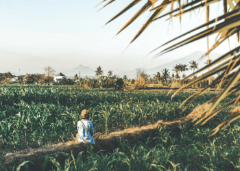 Jenboathan Enterprise Nominated for the Go Global Awards 2025