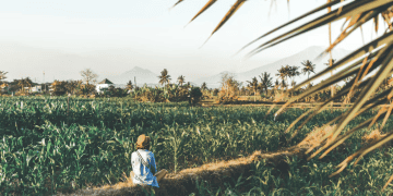 Jenboathan Enterprise Nominated for the Go Global Awards 2025