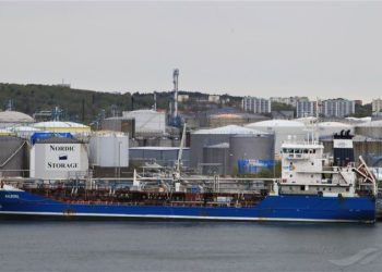 Hachiko Efficiency Services Nominated for Go Global Awards 2025