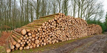 New Softwood Tariffs Raise Concerns Over Jobs and Mill Closures in British Columbia