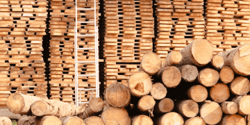 Italy’s Wood Exports to China Decline Nearly 10% as Luxury Demand Softens