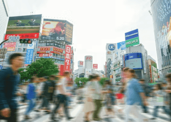 Japan’s Economy Adjusts as Trade and Domestic Activity Show Signs of Stabilization