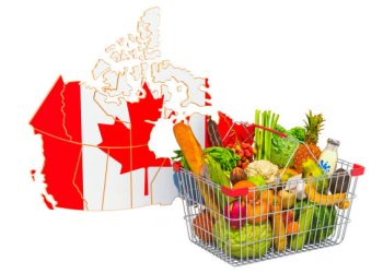 Canada Strengthens Domestic Food Supply Chains with New Investments in Local Production