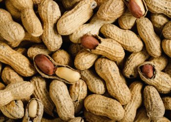 US peanut imports seen affecting 30% of domestic output
