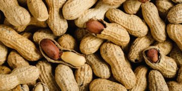 US peanut imports seen affecting 30% of domestic output