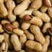 US peanut imports seen affecting 30% of domestic output