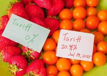 India, New Zealand sign trade deal cutting fruit tariffs
