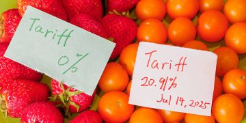 India, New Zealand sign trade deal cutting fruit tariffs