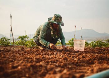 Indonesia Secures Fertilizer Supply