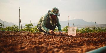 Indonesia Secures Fertilizer Supply