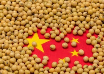 China Tariffs Continue to Pressure U.S. Agricultural Exports