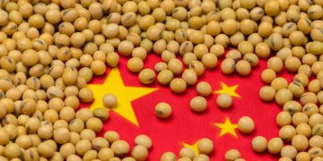China Tariffs Continue to Pressure U.S. Agricultural Exports