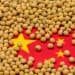 China Tariffs Continue to Pressure U.S. Agricultural Exports