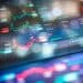 AI Investment Cycle Drives Selective Market Resilience