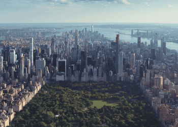 International Trade Council Appoints Bart Collins To Lead New York Chapter