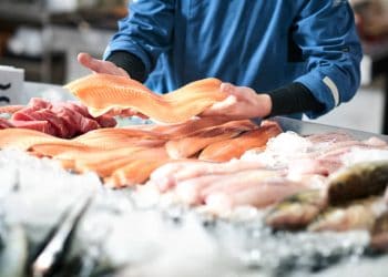 New Ice Plant Strengthens Fisheries Supply Chain