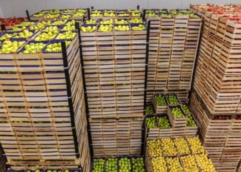 Optimizing Vegetable Storage Locations to Strengthen Fresh Produce Supply Chains