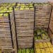 Optimizing Vegetable Storage Locations to Strengthen Fresh Produce Supply Chains