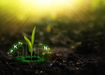 Nutraceutical Growth Creates New Opportunities Across Supply Chains