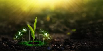 Nutraceutical Growth Creates New Opportunities Across Supply Chains