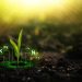 Nutraceutical Growth Creates New Opportunities Across Supply Chains