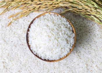 Korea and Philippines Advance Rice Supply Chains