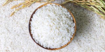 Korea and Philippines Advance Rice Supply Chains