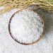 Korea and Philippines Advance Rice Supply Chains
