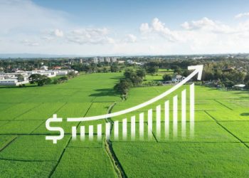 Shifting Rice Trade Patterns Reshape Global Agricultural Supply Chains