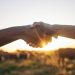 U.S., Mexico, and Canada Advance Agricultural Supply Chain Cooperation
