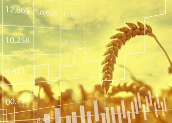 Global Grain Supply Chain Adapts as U.S. Wheat Prices Gain on Shifting Trade Flows