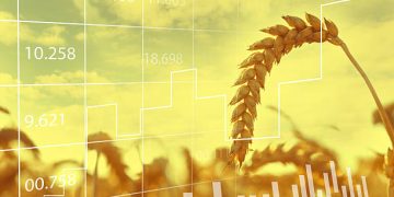 Global Grain Supply Chain Adapts as U.S. Wheat Prices Gain on Shifting Trade Flows