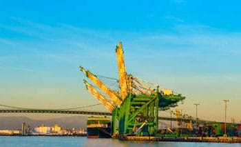 Supply Chain Resilience Drives Record Cargo Growth Amid Trade Uncertainty