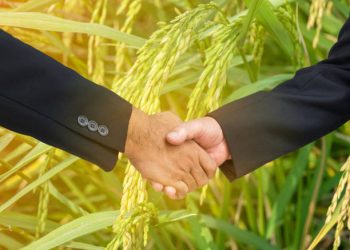 Thailand Strengthens Rice Supply Chain Partnerships