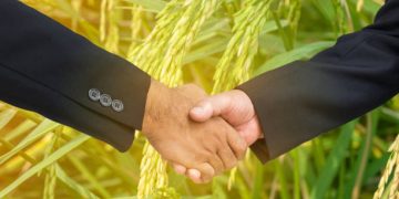 Thailand Strengthens Rice Supply Chain Partnerships