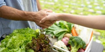Asia’s Fresh Produce Supply Chains Strengthen Cross-Border Collaboration