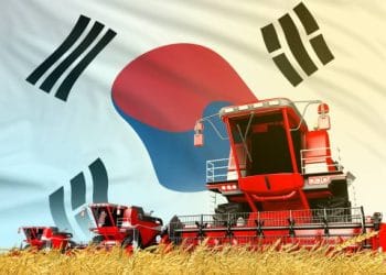 PH and South Korea Advance Rice Supply Chain