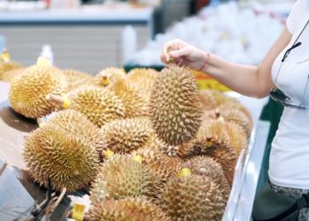 Durian Supply to China Surges as New Rail Routes Boost Regional Trade