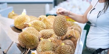 Durian Supply to China Surges as New Rail Routes Boost Regional Trade