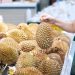 Durian Supply to China Surges as New Rail Routes Boost Regional Trade