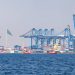 Gulf Region Advances Trade with Faster Customs Operations